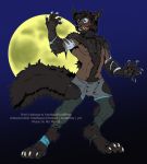  4_toes 5_fingers anthro bottomwear canid canine clothing digitigrade fingers male mammal moon pants pawpads solo standing tidekeeper toes torn_clothing transformation were werecanid werecanine werewolf 