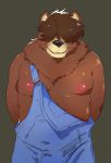  absurd_res anthro blue_overalls breadbeast_(artist) brown_body brown_fur clothed clothes_falling_off clothing farmer fur hair_over_eyes hands_behind_back hi_res male mammal neck_tuft nipple_slip nipples overalls overweight overweight_anthro pink_nipples shaggy_hair solo tuft ursid 