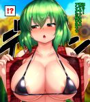  ! !? 1girl ? areola_slip areolae bangs bare_shoulders bikini blush breasts cleavage collarbone day embarrassed eyebrows_visible_through_hair flower green_hair hair_between_eyes half-closed_eyes hands_up highres kazami_yuuka looking_to_the_side micro_bikini open_clothes open_mouth open_vest outdoors peso_(cheese_company) plaid plaid_vest red_eyes shiny shiny_hair sunflower sweat swimsuit touhou underboob upper_body upper_teeth vest 