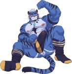  2020 abs anthro anus biceps black_stripes blue_body blue_fur bulge butt clothed clothing detailed_bulge erection erection_under_clothing facial_hair felid flexing footwear fur genitals hi_res jockstrap looking_at_viewer male mammal muscular muscular_anthro muscular_male nipples open_mouth pantherine pecs penis perineum presenting presenting_penis quads scar sharp_teeth simple_background skimpy smile socks solo striped_body striped_fur stripes teeth tiger tiger_est triceps underwear white_background 