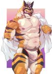  abs absurd_res anthro blush bulge clothing felid hi_res live-a-hero male mammal mask muscular muscular_anthro muscular_male navel nipples pantherine pecs raiki simple_background solo speedo superhero swimwear tiger tos_tos_f_ski undressing 