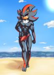  abs absurd_res anthro balls beach bulge clothing genitals hi_res male muscular muscular_anthro muscular_male nipples penis seaside shadow_the_hedgehog soina solo sonic_the_hedgehog_(series) swimwear 