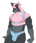  anthro balls bulge canid canine canis clothing durag frown genitals goon_(goonie_san) goonie-san hi_res male mammal penis scowl solo underwear wolf 