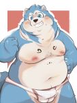  2020 3:4 anthro belly blue_body blue_eyes blue_fur blush bulge canid canine canis clothing domestic_dog fur hi_res husky kemono male mammal moobs navel nipples nordic_sled_dog overweight overweight_anthro overweight_male qqmelon888 solo spitz underwear white_body white_fur 