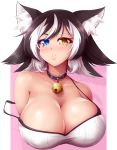  1girl animal_ear_fluff animal_ears bangs bare_shoulders bell bell_collar black_hair blue_eyes breasts cat_ears cleavage collar collarbone heterochromia highres huge_breasts jingle_bell kat_(mazume) looking_at_viewer mazume medium_hair multicolored_hair original parted_lips pink_background signature simple_background solo strap_slip streaked_hair studded_collar upper_body white_background white_hair yellow_eyes 