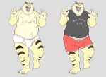  2020 absurd_res anthro belly bottomwear briefs bulge clothing domestic_cat felid feline felis hi_res male mammal nipples open_mouth overweight overweight_anthro overweight_male professor_fluff shirt shorts solo teeth text thick_thighs tighty_whities tongue topwear underwear white_clothing white_underwear 