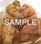  2020 anthro balls blush bodily_fluids brown_body brown_fur butt cum cum_on_ground distracting_watermark duo ejaculation erection fur genital_fluids genitals kemono kotobuki male male/male mammal overweight overweight_male penis sumo tongue tongue_out ursid watermark 