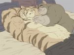  2020 anthro barazoku bed clothing duo eyes_closed felid furniture gadoran kemono male male/male mammal muscular muscular_male nipples pantherine pillow tiger underwear 