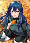  1girl ameno_(a_meno0) autumn_leaves bangs blue_eyes blue_footwear blue_hair blue_pants blue_tunic fire_emblem fire_emblem_awakening fire_emblem_heroes from_above hair_between_eyes holding holding_leaf kneeling leaf long_hair looking_at_viewer lucina_(fire_emblem) open_mouth pants super_smash_bros. tiara 