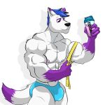 1:1 anthro barazoku bulge canid canine canis clothed clothing hi_res male mammal monstadog muscular muscular_anthro muscular_male pecs protein_shake simple_background solo solo_focus topless topless_male underwear underwear_only wolf wolfywhitewolfy 