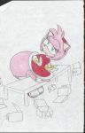  2005 amy_rose anthro belly bench big_belly box clothing dress eulipotyphlan female green_eyes hedgehog mammal overweight panties pink_body red_clothing red_dress simple_background sitting sketch solo sonic_the_hedgehog_(series) traditional_media_(artwork) underwear virus-20 white_background 