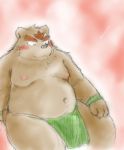  2012 anthro asian_clothing belly brown_body brown_fur clothing east_asian_clothing fundoshi fur humanoid_hands japanese_clothing kemono male mammal moobs navel nipples overweight overweight_male snow_utamaru solo underwear ursid 
