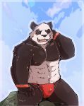  2020 anthro asian_clothing barazoku beastars black_body black_fur blush bulge clothing east_asian_clothing fundoshi fur giant_panda gouhin hi_res japanese_clothing kemono male mammal scar sitting snow_utamaru solo underwear ursid white_body white_fur 