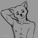  1:1 2020 abs akita anthro biceps bite biting_lip black_and_white canid canine canis clothed clothing domestic_dog eyebrows fluffy fur fuzzled hand_behind_head hi_res looking_away male mammal monochrome nipples pecs raised_arm signature sketch solo spitz topless 