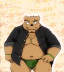  2016 anthro asian_clothing belly brown_body brown_fur clothed clothing east_asian_clothing fundoshi fur hi_res japanese_clothing kemono male mammal moobs navel nipples open_clothing open_shirt open_topwear overweight overweight_male scar shirt snow_utamaru solo topwear underwear ursid 