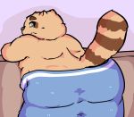  2019 anthro black_nose blue_eyes brown_fur butt canine clothed clothing fur kusosensei male mammal overweight overweight_male solo tanuki 