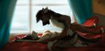  2019 4_fingers 4_toes accessory aleksikashvets anthro anthro_on_anthro anthro_penetrated anthro_penetrating anthro_penetrating_anthro arms_above_head bed bedroom breasts brown_body brown_fur brown_hair brown_pawpads canid canine canis claws curtains digital_media_(artwork) domestic_dog duo eyes_closed feather_in_hair feathers female female_penetrated fingers fur furniture german_shepherd hair hair_accessory hand_on_leg hand_on_thigh herding_dog holding_legs_up kevin_grey kneeling looking_pleasured lying male male/female male_penetrating male_penetrating_female mammal missionary_position nipples nude on_back on_bed open_mouth passionate pastoral_dog pawpads paws penetration pillow romantic_couple selina_zifer sex side_view story story_in_description toe_claws toes tribal vaginal vaginal_penetration widescreen window wolf 