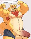  &lt;3 2020 anthro balls belly big_balls big_penis blush canid canine canis clothing domestic_dog english_text genitals hi_res male mammal moobs musclegut nipples penis solo text underwear vitashi 