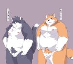  2020 anthro balls belly blush canid canine canis domestic_cat domestic_dog duo felid feline felis flaccid genitals japanese_text kemono male mammal moobs nipples overweight overweight_male penis simple_background text yuuya333 