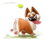  ambiguous_gender ball canid canine canis cryptid-creations domestic_dog feral grass herding_dog mammal pastoral_dog solo tennis_ball welsh_corgi 