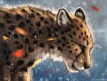  2020 ambiguous_gender black_nose cheetah digital_media_(artwork) felid feline feral flashw fur headshot_portrait mammal portrait raining solo whiskers white_body white_fur 