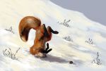  28gooddays ambiguous_gender badday28 canid canine duo fail fluffy fluffy_tail fox fur grass head_in_snow hunting leg_markings mammal markings orange_body orange_fur outside rodent snow socks_(marking) winter 