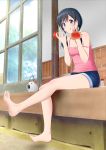  1girl :q absurdres amano_hina_(tenki_no_ko) bangs barefoot black_hair blue_eyes blue_shorts blush breasts cleavage closed_mouth collarbone denim denim_shorts food fruit full_body hair_over_shoulder highres holding long_hair off_shoulder pink_shirt shiny shiny_hair shirt short_shorts shorts sitting sleeveless sleeveless_shirt small_breasts smile soles solo spaghetti_strap summer tenki_no_ko tina_(pixiv37050289) tongue tongue_out twintails watermelon 