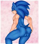  anniejwsh anthro anus balls butt genitals hi_res looking_back male narrowed_eyes nipples nude pose solo sonic_the_hedgehog sonic_the_hedgehog_(series) 