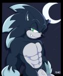  abs absurd_res anthro eulipotyphlan flamez genitals hi_res looking_at_viewer male mammal muscular muscular_anthro muscular_male nude penis solo sonic_the_hedgehog sonic_the_hedgehog_(series) vein veiny_penis were wereeulipotyphlan werehog 