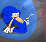  absurd_res anthro balls bodily_fluids caught cum dialogue flamez genital_fluids genitals hi_res male masturbation penis public_masturbation solo sonic_the_hedgehog sonic_the_hedgehog_(series) sweat 