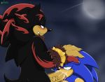  anthro bodily_fluids duo eulipotyphlan flamez genitals hand_on_head hi_res male male/male mammal oral penis saliva shadow_the_hedgehog sonic_the_hedgehog sonic_the_hedgehog_(series) were wereeulipotyphlan werehog 