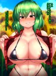  1girl abs areola_slip areolae bare_shoulders bikini black_bikini black_swimsuit blurry blurry_background blush breasts collarbone curvy day eyebrows_visible_through_hair field flower flower_field furrowed_eyebrows green_hair grin hair_between_eyes halterneck hands_up heartbeat highres huge_breasts kazami_yuuka looking_at_viewer medium_hair micro_bikini navel nose_blush open_clothes open_vest outdoors peso_(cheese_company) plaid plaid_vest red_eyes red_vest smile solo stomach strap_gap sunflower sweat swimsuit toned touhou translation_request upper_body vest 