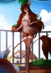  2020 anthro areola breasts brown_hair chessi clothed clothing day detailed_background digital_media_(artwork) domestic_cat felid feline felis female hair hi_res mammal midriff navel nipples outside sky smile 
