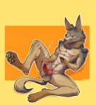  2020 4_toes 5_fingers abs absurd_res anthro balls blue_eyes canid canine canis coyote digital_media_(artwork) fingers genitals hi_res hoffy knot male mammal penis ratcha sitting smile solo toes 