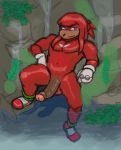  2020 anthro artolius clothing cute_fangs echidna erection genitals gloves handwear hi_res knuckles_the_echidna looking_at_viewer male mammal monotreme nipples nude penis pinup pose presenting presenting_penis solo sonic_the_hedgehog_(series) spread_legs spreading water 