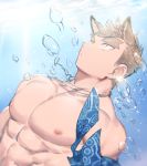  1boy abs air_bubble animal_ear_fluff animal_ears bandana bara blonde_hair bubble chest dog_boy dog_ears forked_eyebrows gondom highres male_focus muscle nipples original shirtless short_hair sideburns solo spiked_hair thick_eyebrows underwater water yellow_eyes 