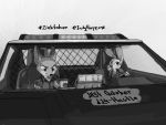  2020 4:3 anthro canid canine clothed clothing cup disney doughnut drinking driving duo food fox fur greyscale hi_res holding_cup holding_food holding_object inktober inktober_2020 judy_hopps judyhopps44 lagomorph leporid mammal monochrome nick_wilde rabbit red_fox zootopia 