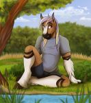  anthro better_version_at_source clothed clothing cloud countryside equid equine hi_res horse jenery male mammal plant river sitting solo tree water 