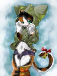  3:4 anthro bottomwear clothing domestic_cat felid feline felis hoodie mammal shorts solo syourinbonzu topwear 