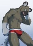  2020 5_fingers aggressive_retsuko anthro biceps brown_body brown_fur bulge chang52084 clothed clothing fingers fur gloves_(marking) haida hyaenid male mammal markings muscular muscular_anthro muscular_male nipples open_mouth pecs red_clothing red_underwear sanrio sharp_teeth solo spotted_hyena teeth topless underwear 