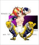  breath_of_fire_ii katt tagme 