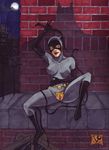  batman catwoman dc dcau selina_kyle vp 