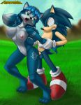  absurd_res anthro duo female fureverick green_eyes hi_res krystal male male/female nintendo nipples penetration sonic_the_hedgehog sonic_the_hedgehog_(series) star_fox video_games 