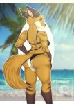  animatedmau anthro ass_up beach bikini bra breasts butt butt_focus butt_grab canid canine canis clothing detailed_background domestic_dog ear_piercing ear_ring eyewear female fox fur glasses hand_on_butt hi_res looking_at_viewer male mammal multicolored_body multicolored_fur multicolored_tail ninnasaurio orange_body orange_fur other_side panties piercing pinup pose rey_(animatedmau) sand sea seaside seductive solo swimwear tree two_tone_body two_tone_fur underwear water white_body 