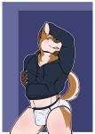  anthro black_clothing black_hoodie black_topwear briefs bulge canid canine canis clothing domestic_dog drawyourfursona hi_res hoodie hoodie/briefs_meme male mammal meme meme_clothing pwinter48 simple_background solo standing topwear underwear white_clothing white_underwear 