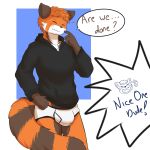  absurd_res ailurid anthro black_clothing black_hoodie black_topwear briefs bulge cheezychess clothing drawyourfursona hi_res hoodie hoodie/briefs_meme male mammal meme meme_clothing red_panda simple_background solo standing topwear underwear white_clothing white_underwear 