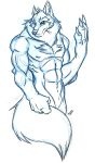  2008 abs animal_genitalia anthro biceps biped blue_and_white canid canine canis chest_tuft dragondrawer finger_claws fingers front_view fully_sheathed genitals hi_res male mammal monochrome muscular muscular_anthro muscular_male nipples nude pecs pen_(artwork) serratus sheath simple_background solo traditional_media_(artwork) tuft white_background wolf 