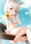  1girl ahoge animal_ears bangs bare_arms barefoot bench blurry collarbone commentary_request eyebrows_visible_through_hair fox_ears green_eyes grey_hair hair_between_eyes hand_up haru_(re_ilust) holding holding_hair hololive looking_at_viewer navel petals raised_eyebrows shirakami_fubuki sitting soles solo swimsuit tied_hair toes virtual_youtuber white_swimsuit younger 