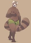  2020 ailurid anthro brown_body brown_fur bulge clothed clothing fur hi_res looking_at_viewer male mammal minedoo minedoo_(character) navel nipples red_panda simple_background skimpy solo standing thick_thighs underwear 