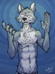  2020 anthro art_mutt beastars belt black_nose bottomwear canid canine canis chest_tuft claws clothed clothing confusion countershade_face countershade_torso countershading fur grey_body grey_fur hi_res inner_ear_fluff legoshi_(beastars) looking_at_viewer male mammal navel pants raised_arm signature simple_background slim solo topless topless_male tuft wolf 